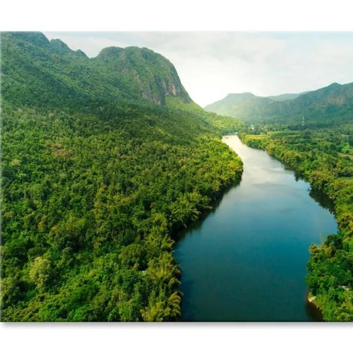 Aerial View Of River in Tropical Green  Print 100% Australian Made 150 x 100cm  (Stretched)