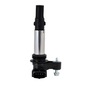 SWAN Ignition Coil for Holden Caprice, Commodore (3.6L)