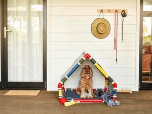 DIY dog house with dog inside