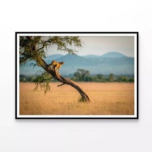 Cheetah Stands On Twisted Tree   Print 100% Australian Made 120x90cm  (Poster)