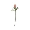 UN-REAL 60cm Pink Banksia Native Artificial Flower