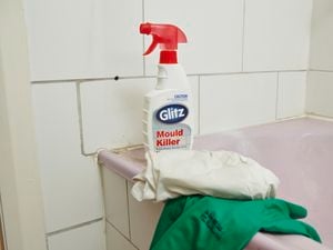 mould killer