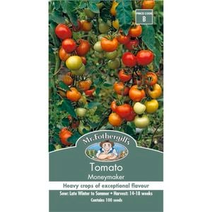 Mr Fothergill's Seed Tomato Moneymaker