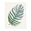 Artey | Green Papyrus IV - Stretched Canvas - Stretched Canvas - 100 x 125cm