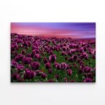 Sunset on a Field with Poppies   Print 100% Australian Made 120 x 90cm  (Stretched)