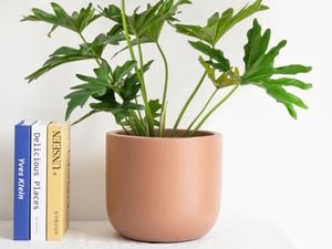 Product.Lotus 220 x 250mm Egg Clay Plain Planter.0426675.NZ.productOtherMedia.1