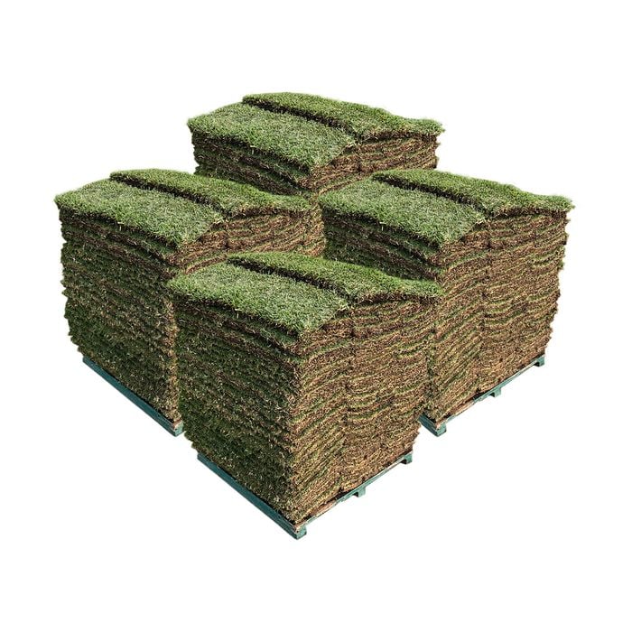 Sir Walter DNA Certified Buffalo 200m² Soft Leaf Buffalo Turf - Pallet
