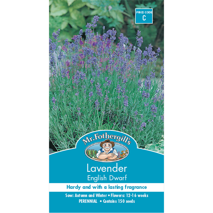 Mr Fothergill's English Dwarf Lavender Flower Seeds