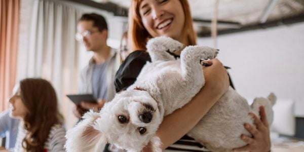 A woman holding a small white dog.
