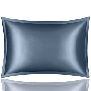 Anypillow Pillowcase 50x90cm Blue Gray Pure Real Silk