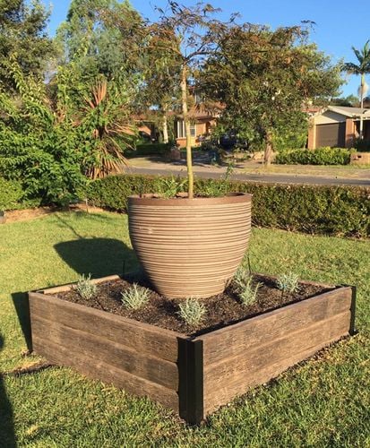 plant bed in a garden