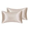 Catzon 2 Pcs Luxury Silky Satin Pillowcases with Zipper for Hair and Skin 50X75cm-Camel