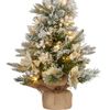 National Tree 61cm 2ft Snowy Frosted Colonial Pre-lit Tree With 35leds