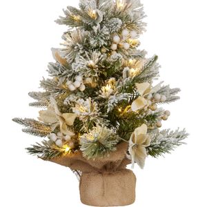 National Tree 61cm 2ft Snowy Frosted Colonial Pre-lit Tree With 35leds