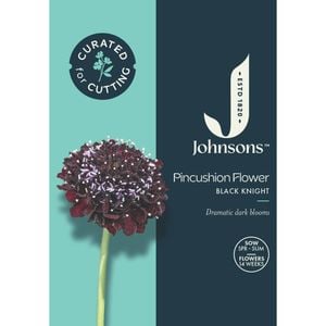 Johnsons Curated For Cutting Pincushion Flower Black Night