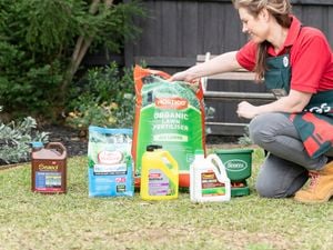 A Bunnings team member and fertilisers.
