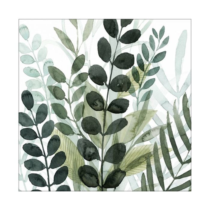 Artey | Forest Forage IV - Stretched Canvas - Stretched Canvas - 84 x 84cm