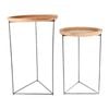 2pc Maine & Crawford Ardano 57x35cm Wood/Metal Side Table - Black