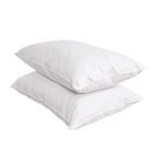 Sheraton  Goose Feather/Down Pillow Set of 2