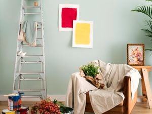 Ladder leaning against wall with samples of paint colour up in preparation of choosing 