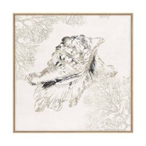 Artey | Silver Shell I - Framed Canvas - Natural Frame - 100 x 100cm