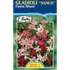 Fiesta Flower Bulbs Gladioli Nanus Fiesta Mixed - 7 Bulbs