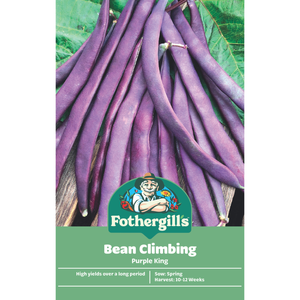 Fothergill's Purple King Climbing Bean Vegetable Seeds