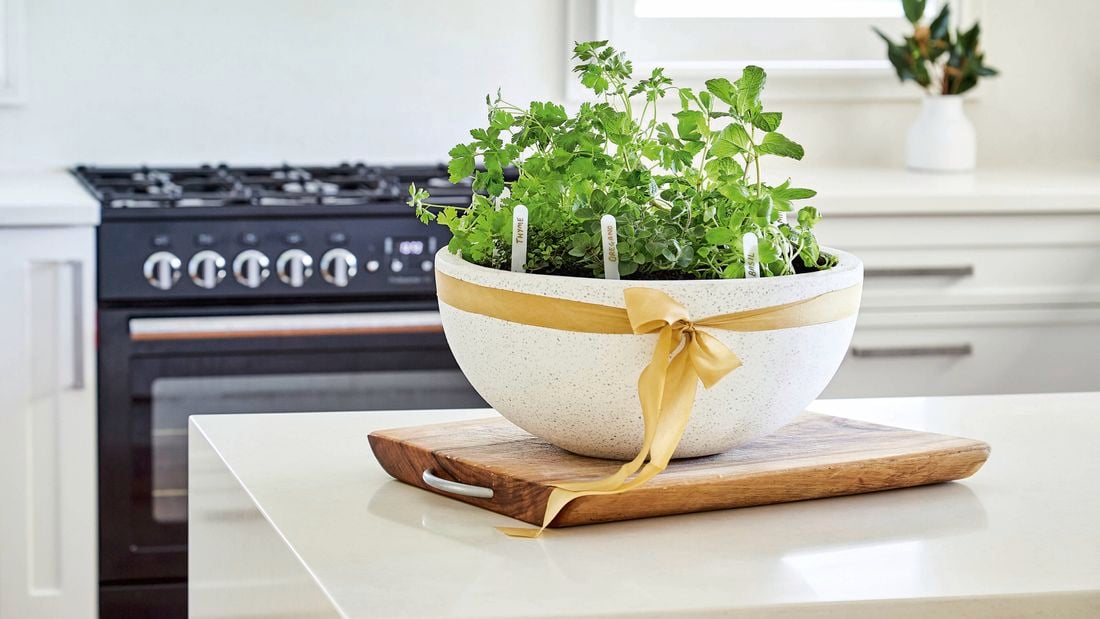 A variety of herbs are planted in a white semi-circular plant pot with a gold ribbon wrapped around it.