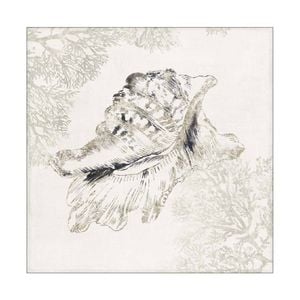 Artey | Silver Shell I - Stretched Canvas - Stretched Canvas - 140 x 140cm