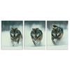 3pcs Featuring a Fierce Wolf Pack Print 100% Australian Made 3 x 40x60cm (Metal Print)
