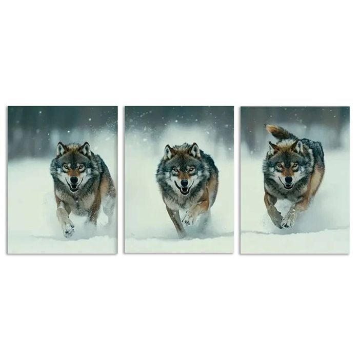3pcs Featuring a Fierce Wolf Pack Print 100% Australian Made 3 x 40x60cm (Metal Print)