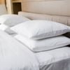 Dreamz 4-Pack Cotton Pillows Firm