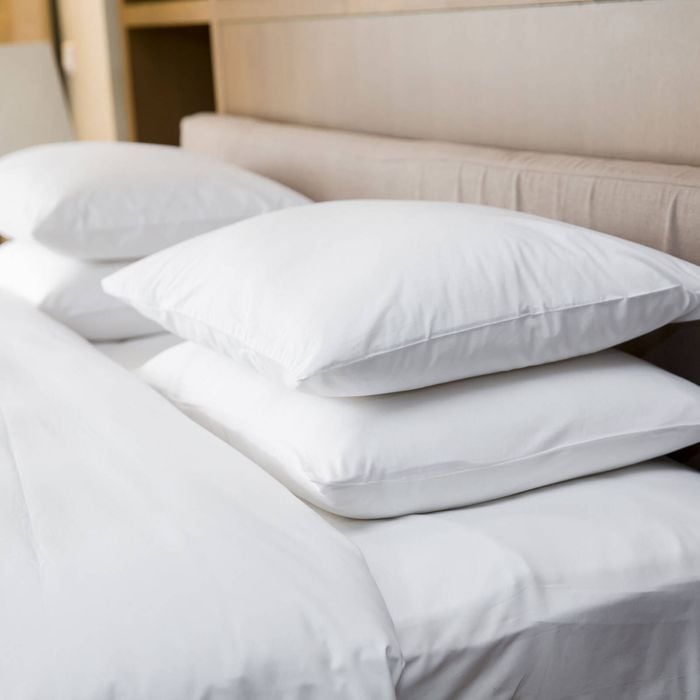 Dreamz 4-Pack Cotton Pillows Firm