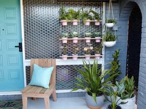 D.I.Y. hanging plants