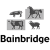 Bainbridge