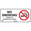 Pinnacle Signage 450 x 200mm No Smoking Except Designated Area Sign