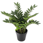 Un-Real 70cm Artificial Zanzibar Plant