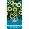 Mr Fothergill's Moonwalker Sunflower Seeds