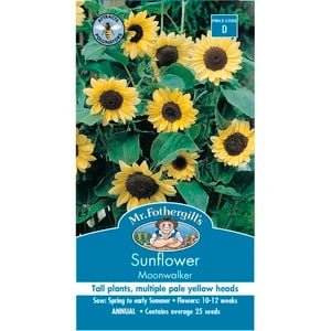 Mr Fothergill's Moonwalker Sunflower Seeds