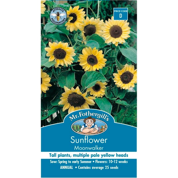 Mr Fothergill's Moonwalker Sunflower Seeds