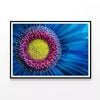 Gerbera Flower Close Up View  Print 100% Australian Made 120x90cm  (Poster)