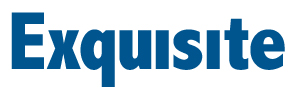 Blue exquisite logo.