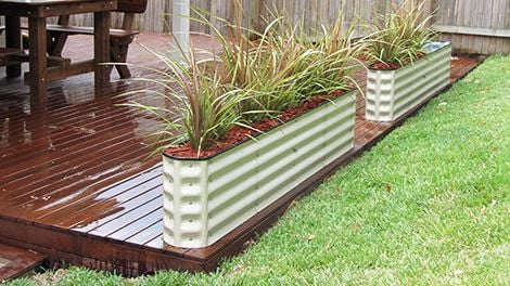 Thin corrugated planter box containing ferns