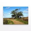 Tree in the Vast Of Parker River  Print 100% Australian Made 75 x 50cm  (Stretched)