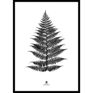 Modern Furniture Large Fern Print 74x54cm in Black Frame
