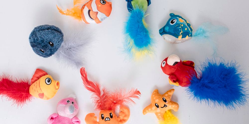 P&C
  Cat Toys
