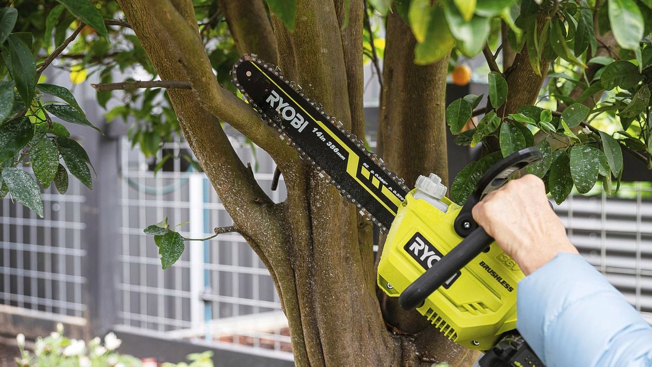 Ryobi cordless chainsaw cutting branches of tree