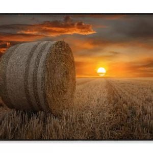 Sun Setting Straw Bales in A Field  Print 100% Australian Made 120x90cm  (Poster)