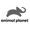 ANIMAL PLANET