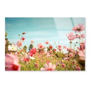Cosmos Flower Blossom  Print 100% Australian Made 120 x 90cm  (Acrylic)